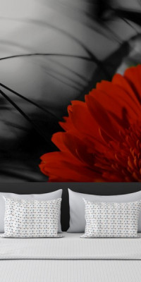 Poszter fiataloknak TPF258